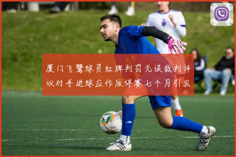 厦门飞鹭球员红牌判罚无误裁判评议对手进球应作废停赛七个月引发热议