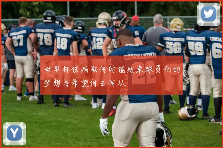 世界杯伤病潮何时能结束球员们的梦想与希望何去何从